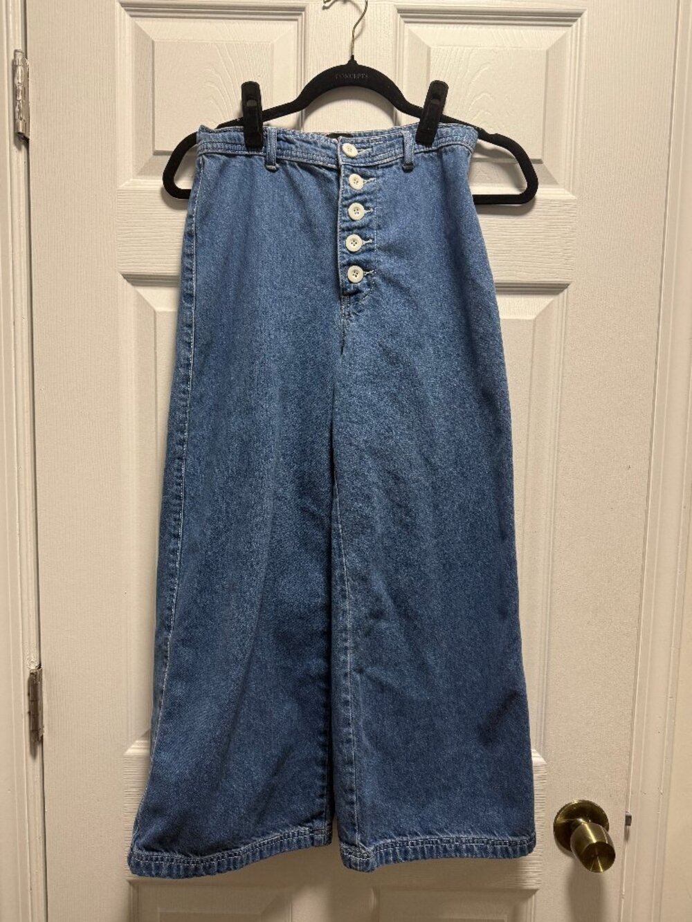 BDG Urban Outfitters Women’s 27 High Rise Wide Leg Cropped Button Fly Jeans